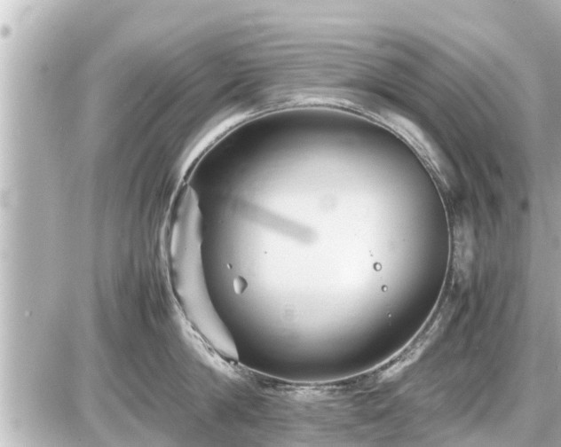 X0000087050814200704251002