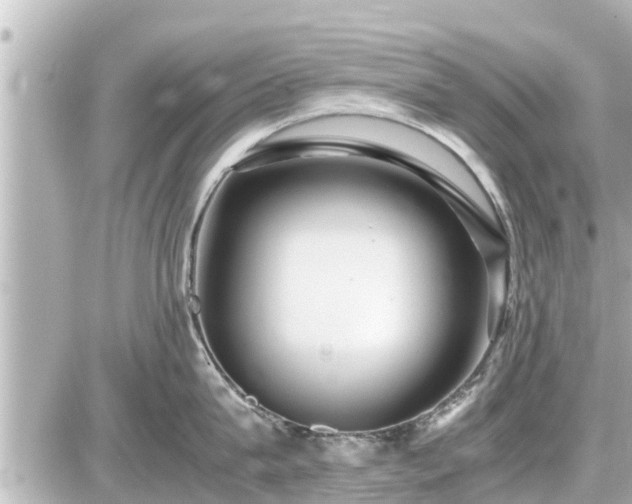 X0000087050815200704251002