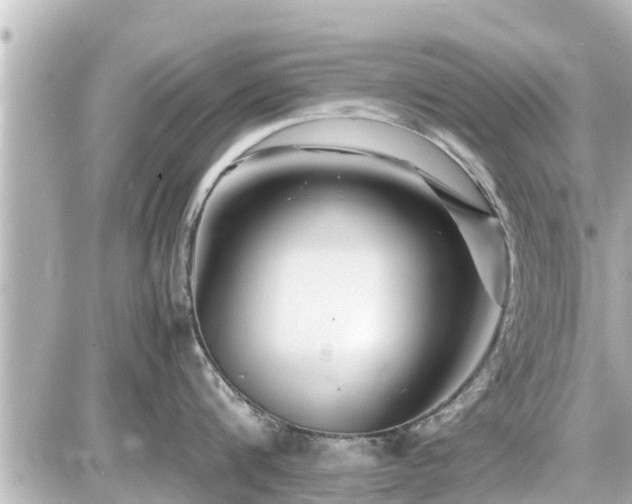 X0000087050816200704251002