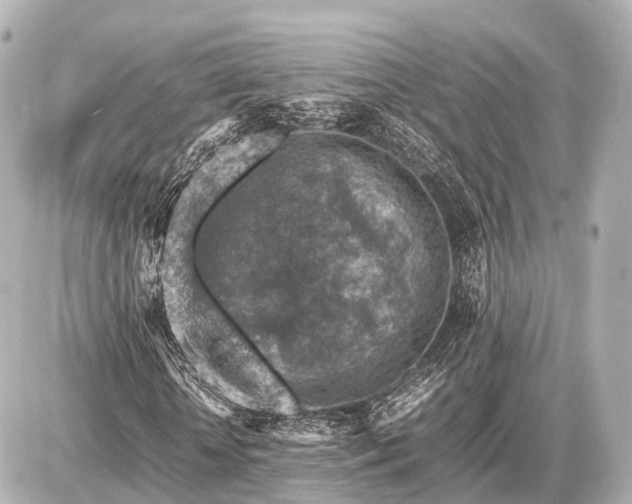 X0000087050818200704251002