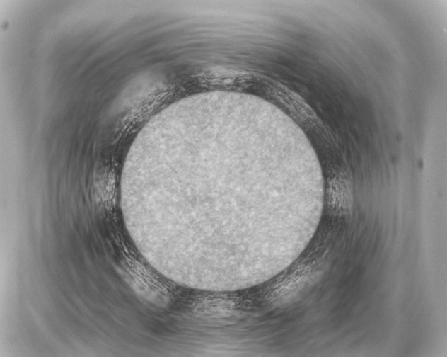 X0000087050820200704251002