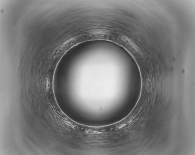 X0000087050821200704251002