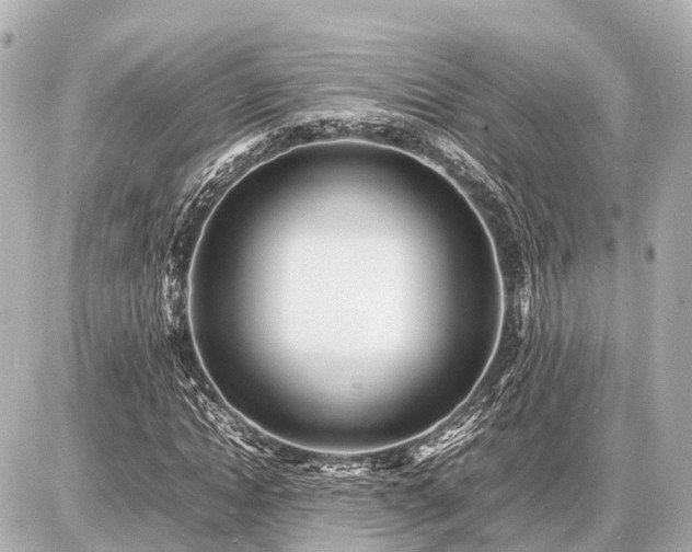 X0000087050822200704251002