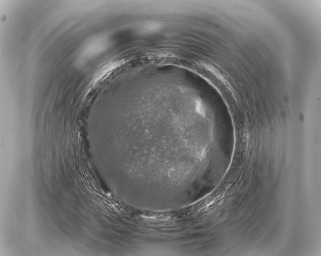 X0000087050823200704251002