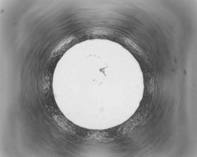 X0000087050824200704251002