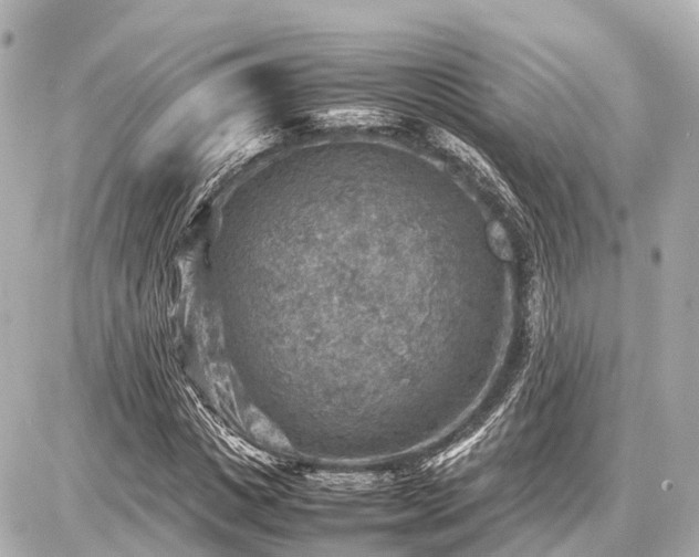 X0000087050825200704251002