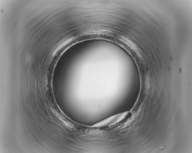 X0000087050826200704251002