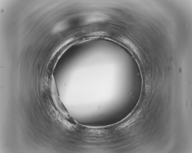 X0000087050827200704251002