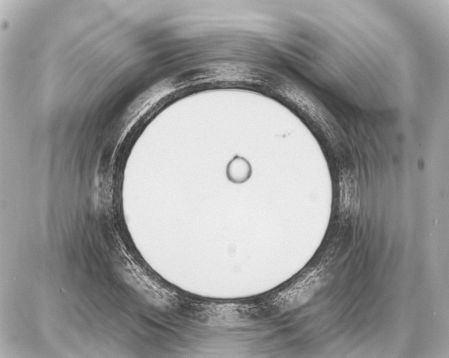 X0000087050828200704251002