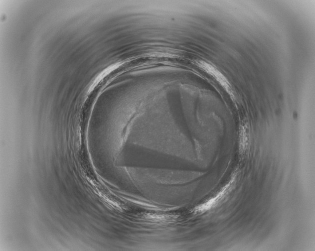 X0000087050829200704251002