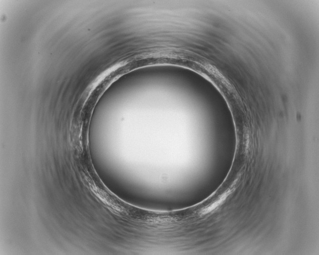 X0000087050830200704251002