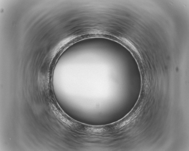 X0000087050831200704251002