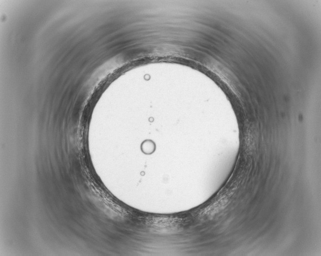 X0000087050832200704251002