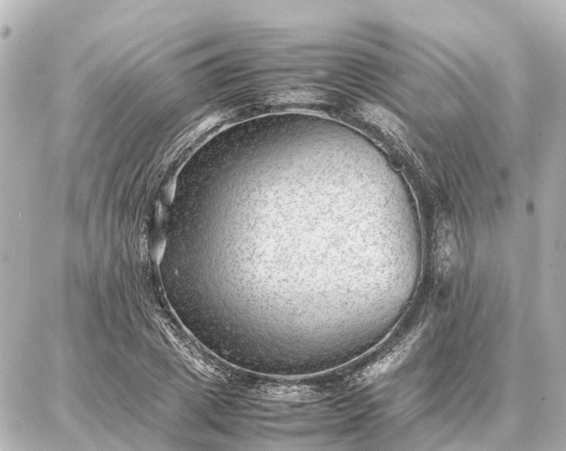 X0000087050833200704251002