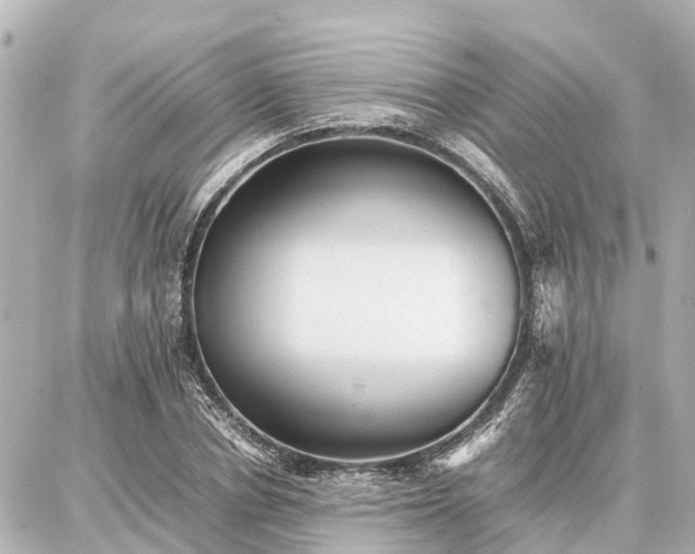 X0000087050834200704251002