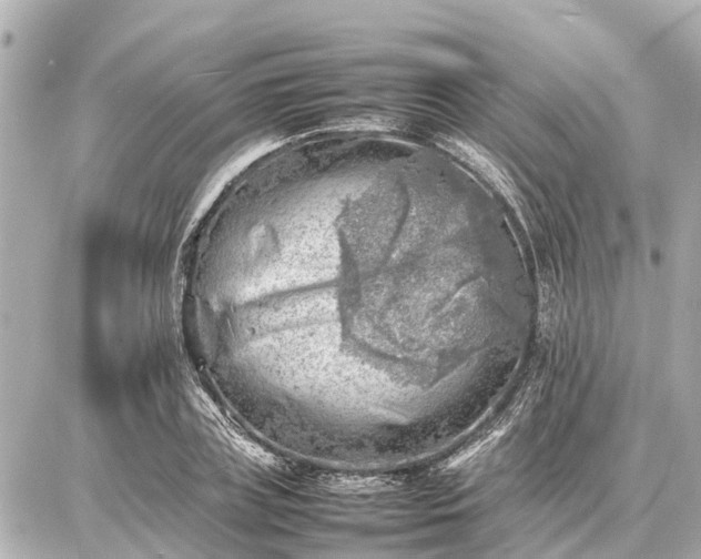 X0000087050835200704251002