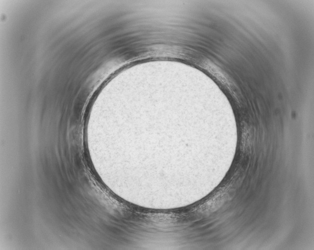 X0000087050836200704251002