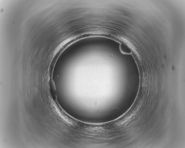 X0000087050837200704251002