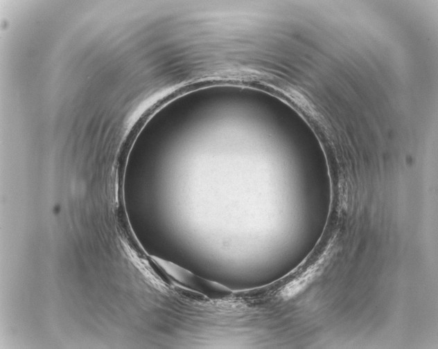 X0000087050838200704251002