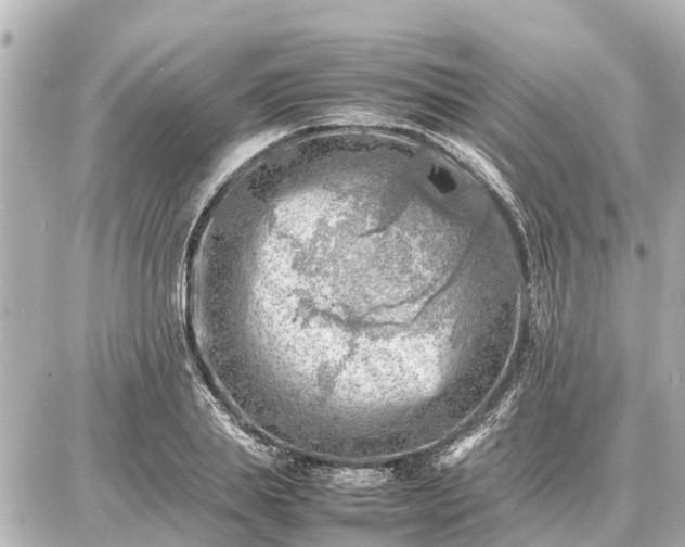 X0000087050839200704251002