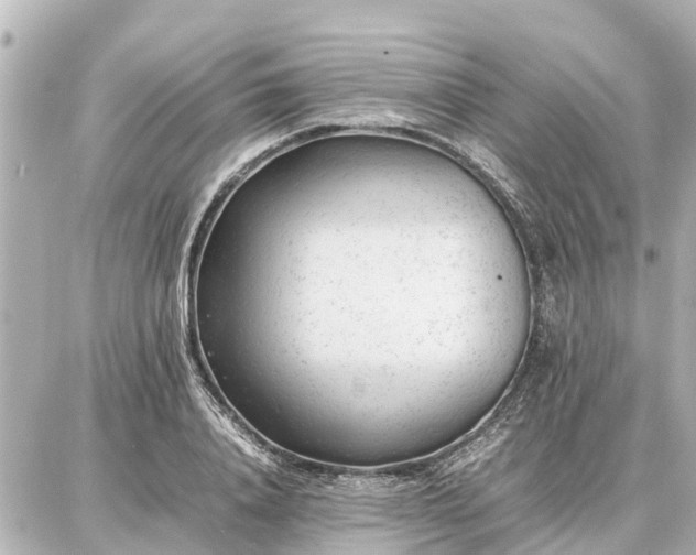 X0000087050840200704251002