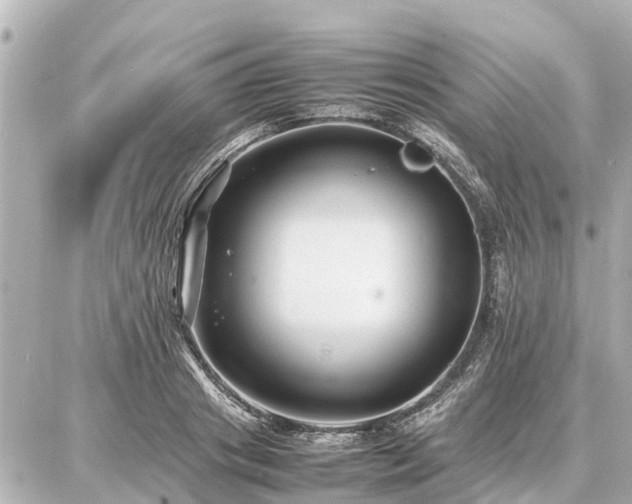 X0000087050841200704251002