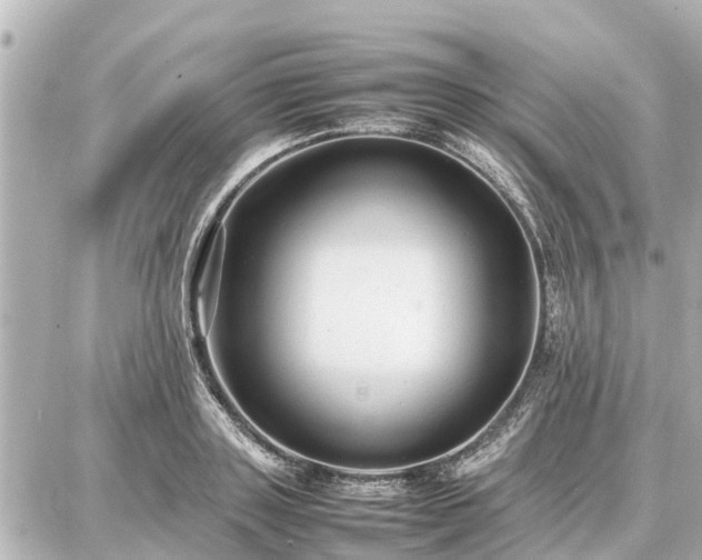 X0000087050843200704251002