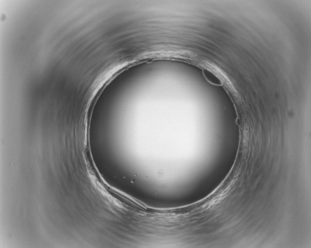 X0000087050844200704251002