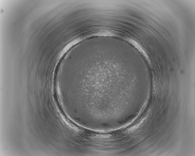 X0000087050845200704251002