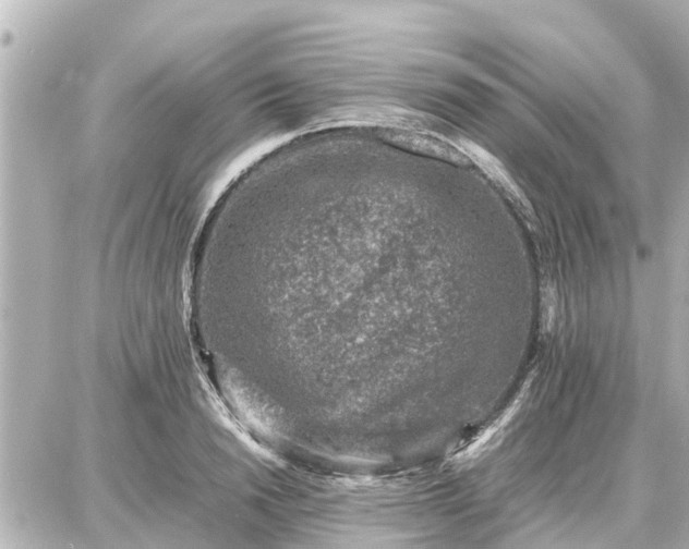 X0000087050846200704251002