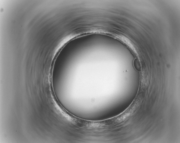 X0000087050847200704251002