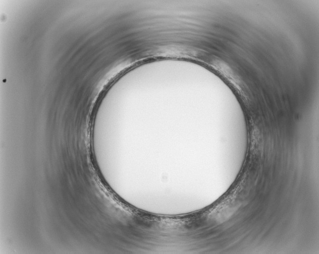 X0000087050848200704251002