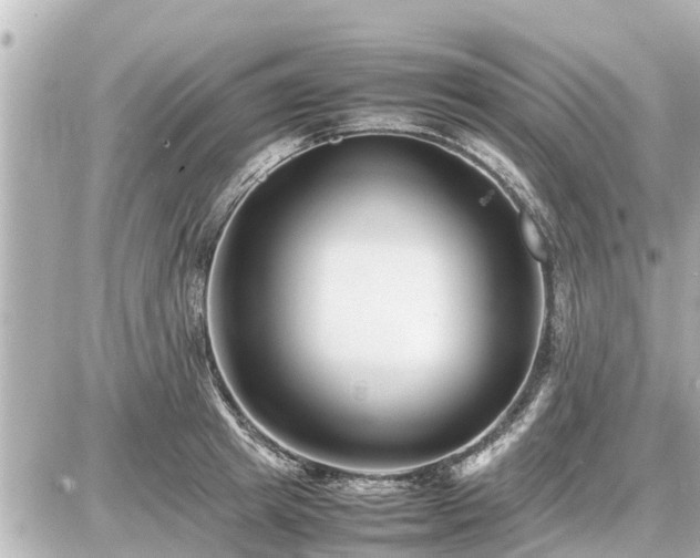 X0000087050849200704251002