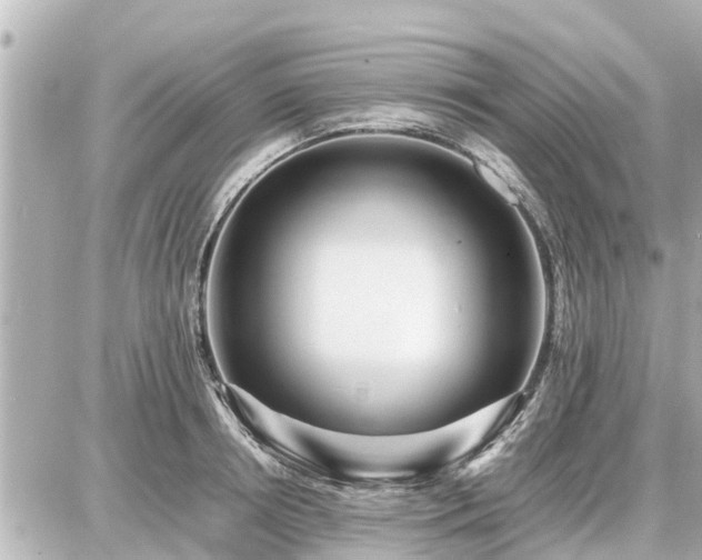 X0000087050850200704251002