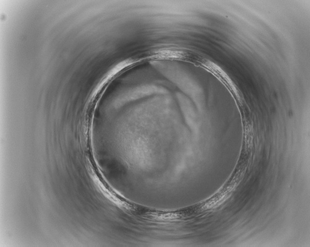 X0000087050851200704251002