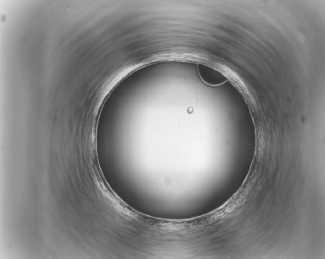 X0000087050852200704251002