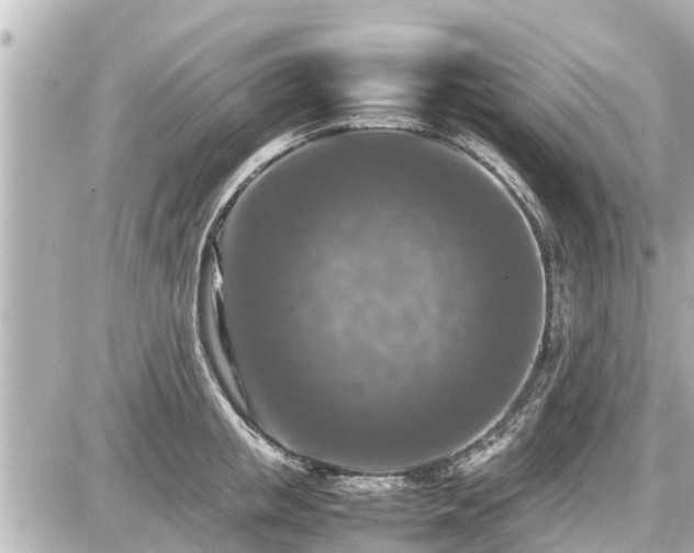 X0000087050853200704251002