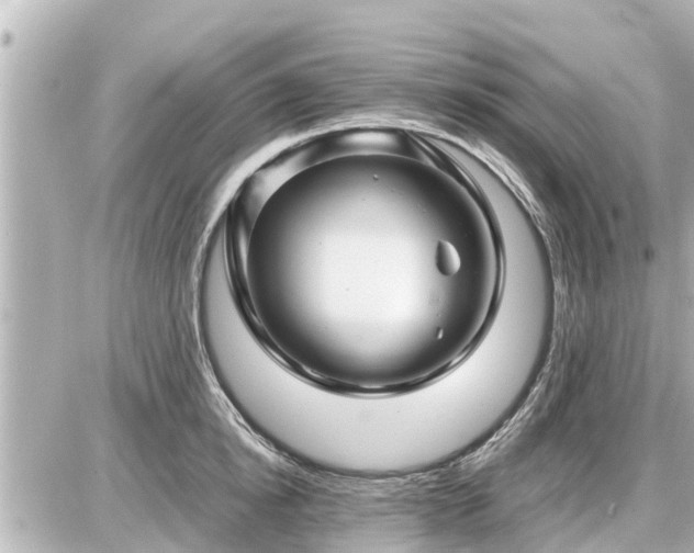 X0000087050854200704251002