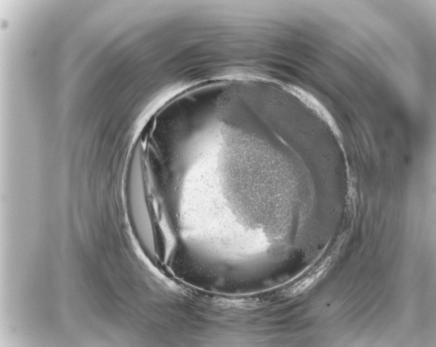 X0000087050855200704251002