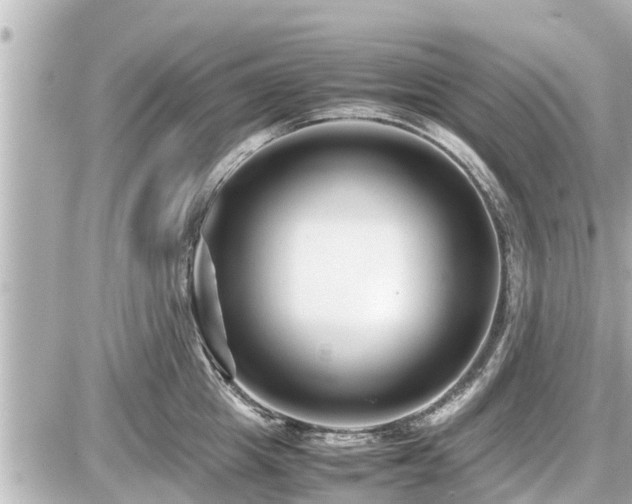 X0000087050857200704251002