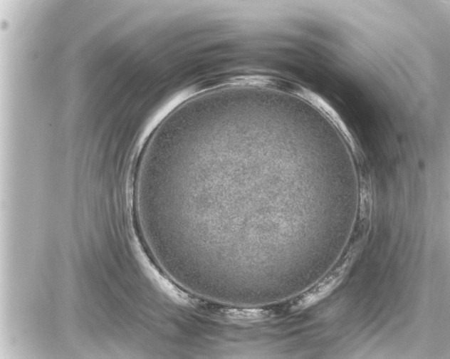 X0000087050859200704251002