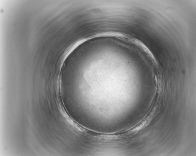 X0000087050860200704251002