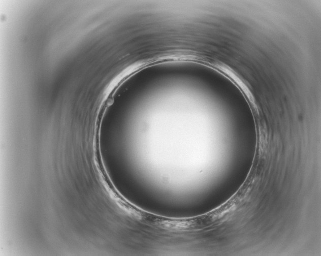 X0000087050861200704251002