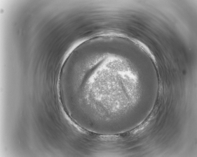 X0000087050863200704251002