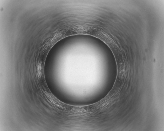 X0000087050866200704251001