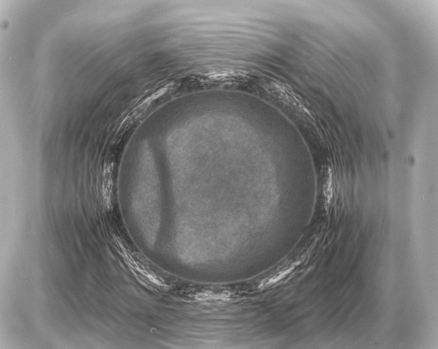 X0000087050868200704251001