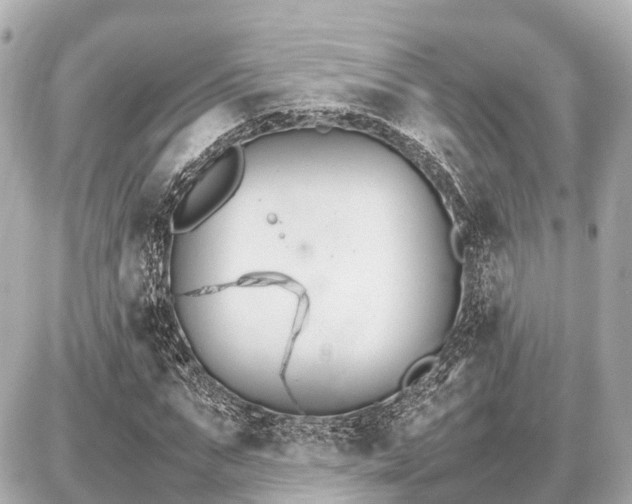 X0000087050871200704251001