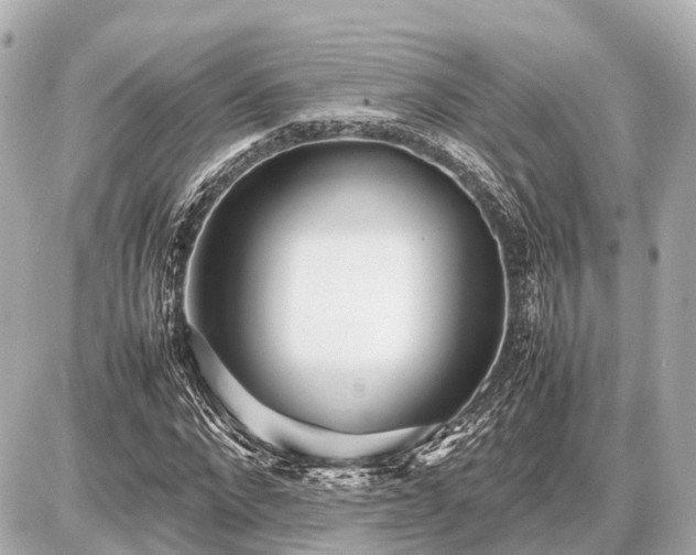 X0000087050872200704251001