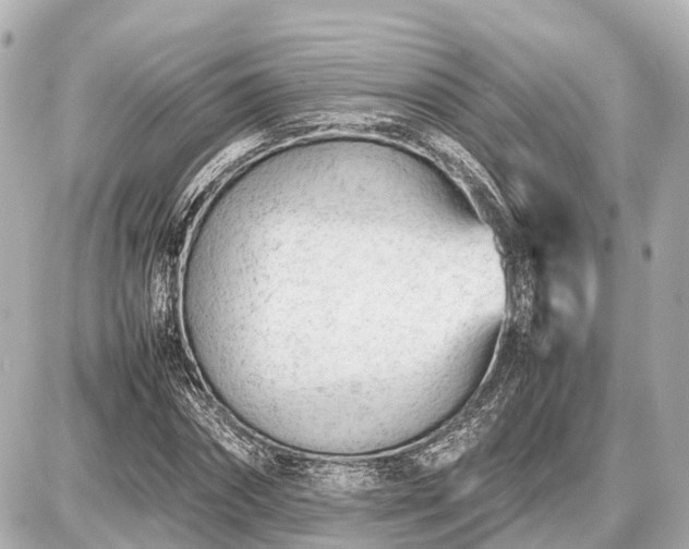 X0000087050874200704251001