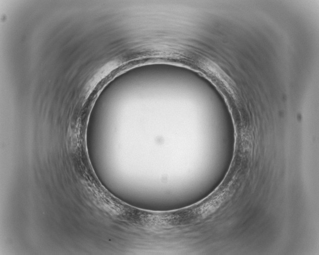 X0000087050875200704251001